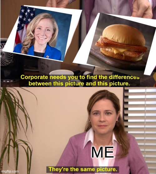 They're The Same Picture Meme | ME | image tagged in memes,they're the same picture | made w/ Imgflip meme maker