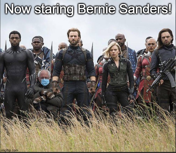 Now staring Bernie Sanders! | Now staring Bernie Sanders! | image tagged in bernie sanders | made w/ Imgflip meme maker