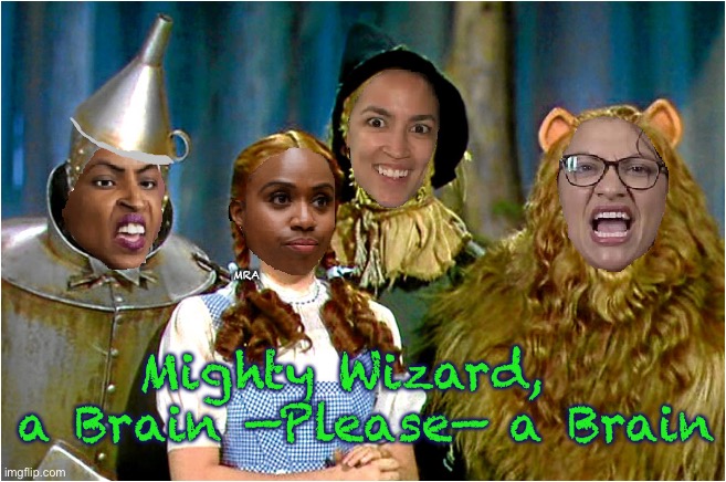 We Are Off To Impeach The Wizard | MRA; Mighty Wizard,  
a Brain —Please— a Brain | image tagged in we are off to impeach the wizard | made w/ Imgflip meme maker