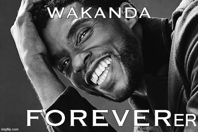 Wakanda Foreverer: The Sequel. Starring someone other than Chadwick Boseman. | ER | image tagged in wakanda forever r i p chadwick boseman,wakanda forever | made w/ Imgflip meme maker