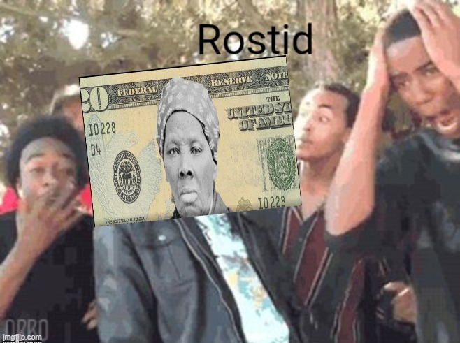 Harriet Tubman Rostid | image tagged in harriet tubman rostid,meme man,money,dollar,dollars,roasted | made w/ Imgflip meme maker