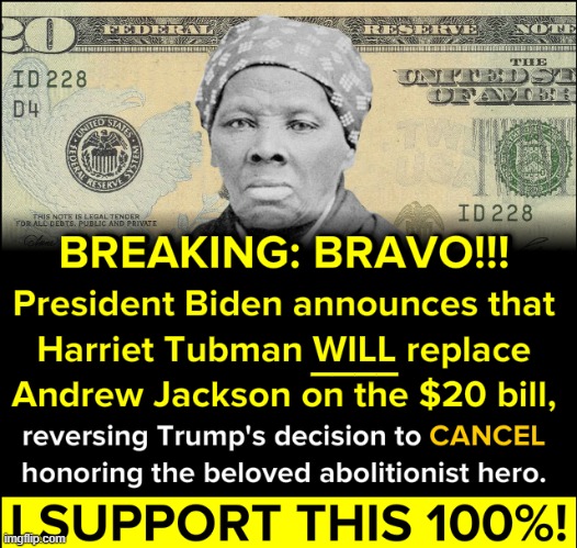 anti-cringe | image tagged in harriet tubman 20 bill | made w/ Imgflip meme maker