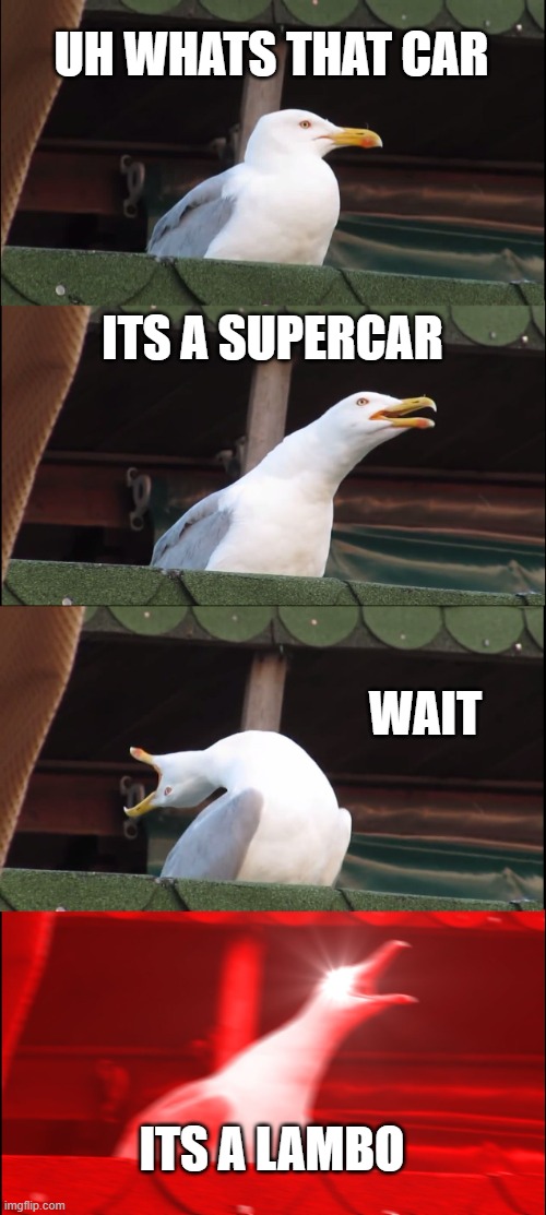 Untitled Goose | UH WHATS THAT CAR; ITS A SUPERCAR; WAIT; ITS A LAMBO | image tagged in memes,inhaling seagull | made w/ Imgflip meme maker