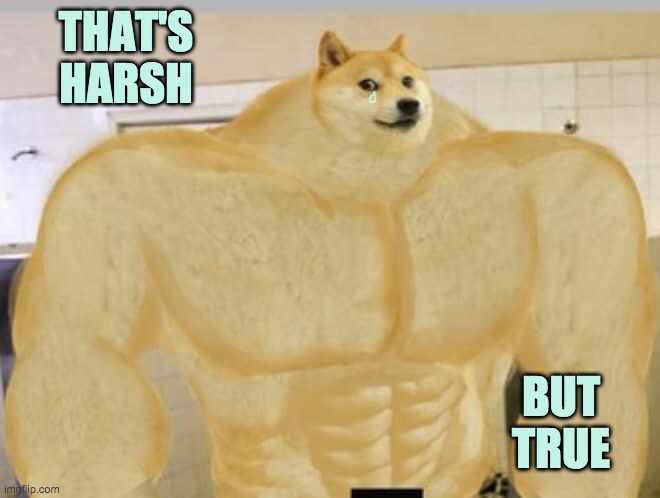 Buff Doge | THAT'S HARSH BUT TRUE | image tagged in buff doge | made w/ Imgflip meme maker