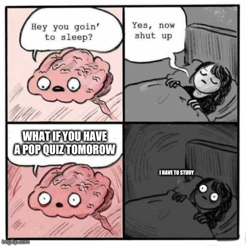 when i go to sleep | WHAT IF YOU HAVE A POP QUIZ TOMOROW; I HAVE TO STUDY | image tagged in hey you going to sleep | made w/ Imgflip meme maker