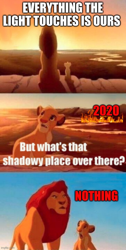 Simba Shadowy Place | EVERYTHING THE LIGHT TOUCHES IS OURS; 2020; NOTHING | image tagged in memes,simba shadowy place | made w/ Imgflip meme maker