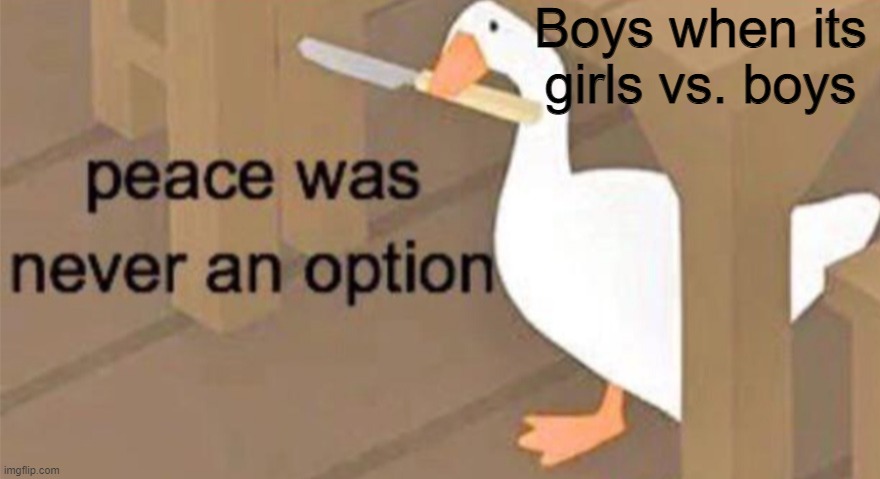 Untitled Goose Peace Was Never an Option | Boys when its girls vs. boys | image tagged in untitled goose peace was never an option,boys vs girls | made w/ Imgflip meme maker