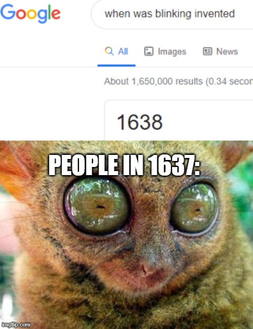 PEOPLE IN 1637: | image tagged in no sleep for lemur | made w/ Imgflip meme maker