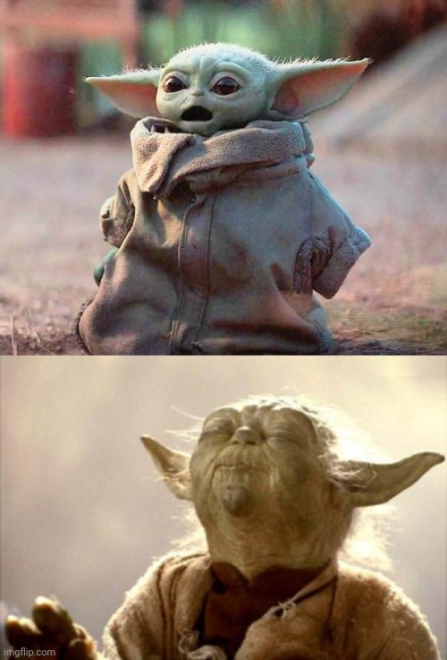 image tagged in surprised baby yoda,yoda smell | made w/ Imgflip meme maker