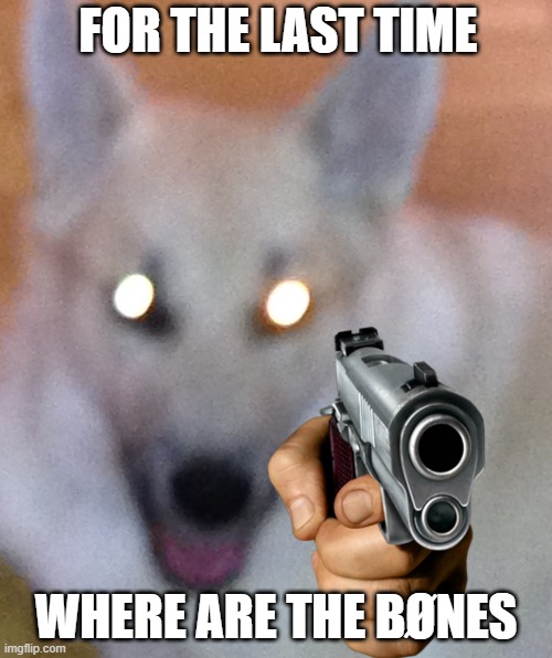 BØNES | FOR THE LAST TIME; WHERE ARE THE BØNES | image tagged in funny,dogs | made w/ Imgflip meme maker