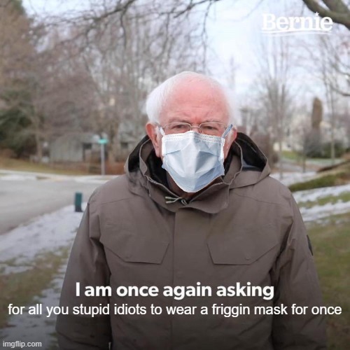 WEAR THE DANG THING AND DONT POLITICIZE IT | for all you stupid idiots to wear a friggin mask for once | image tagged in memes,bernie i am once again asking for your support,mask,face mask | made w/ Imgflip meme maker