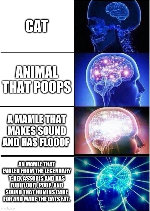 Expanding Brain | CAT; ANIMAL THAT POOPS; A MAMLE THAT MAKES SOUND AND HAS FLOOOF; AN MAMLE THAT EVOLED FROM THE LEGENDARY T-REX ASSORIS AND HAS FUR(FLOOF), POOP, AND SOUND THAT HUMINS CARE FOR AND MAKE THE CATS FAT. | image tagged in memes,expanding brain | made w/ Imgflip meme maker
