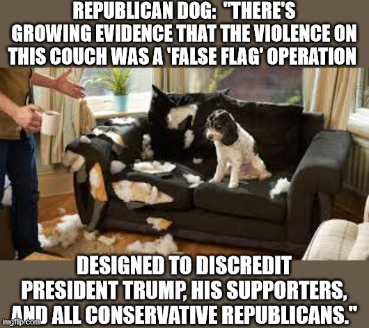 Republican Claiming Riots are a False Flag | REPUBLICAN DOG:  "THERE'S GROWING EVIDENCE THAT THE VIOLENCE ON THIS COUCH WAS A 'FALSE FLAG' OPERATION; DESIGNED TO DISCREDIT PRESIDENT TRUMP, HIS SUPPORTERS, AND ALL CONSERVATIVE REPUBLICANS." | image tagged in false flag,capitol hill,riots,maga,conservative hypocrisy,qanon | made w/ Imgflip meme maker