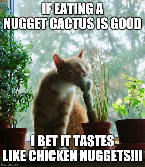 cat eats cactus | IF EATING A NUGGET CACTUS IS GOOD; I BET IT TASTES LIKE CHICKEN NUGGETS!!! | image tagged in cat eats cactus | made w/ Imgflip meme maker