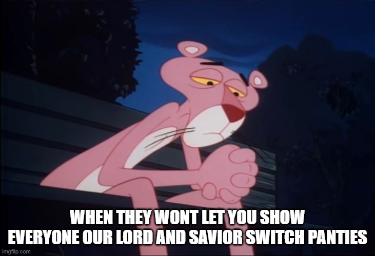 Like seriously. Come on. | WHEN THEY WONT LET YOU SHOW EVERYONE OUR LORD AND SAVIOR SWITCH PANTIES | image tagged in sad pink panther | made w/ Imgflip meme maker