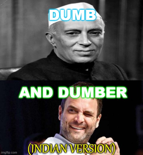 Dumb and Dumber (Desi Version) | DUMB; AND DUMBER; (INDIAN VERSION) | image tagged in desi dumb and dumber | made w/ Imgflip meme maker