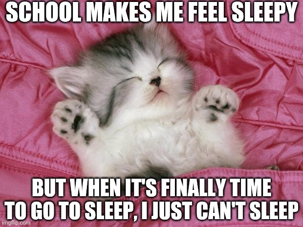 kitten sleeping | SCHOOL MAKES ME FEEL SLEEPY; BUT WHEN IT'S FINALLY TIME TO GO TO SLEEP, I JUST CAN'T SLEEP | image tagged in kitten sleeping | made w/ Imgflip meme maker
