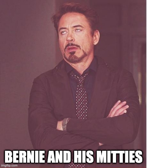 Rob and Mittens | BERNIE AND HIS MITTIES | image tagged in memes,face you make robert downey jr | made w/ Imgflip meme maker