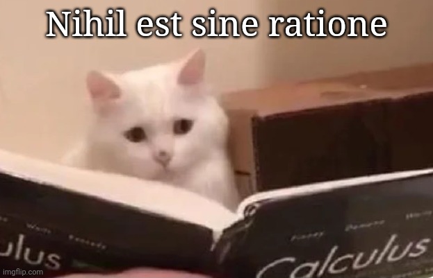 Nihil est sine ratione | made w/ Imgflip meme maker