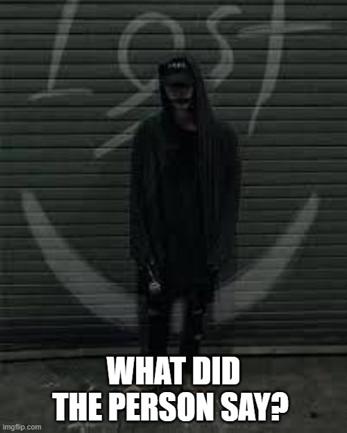 Lost the album | WHAT DID THE PERSON SAY? | image tagged in lost the album | made w/ Imgflip meme maker