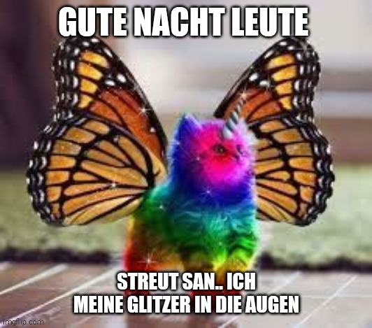 Rainbow Unicorn Butterfly Kitty | GUTE NACHT LEUTE; STREUT SAN.. ICH MEINE GLITZER IN DIE AUGEN | image tagged in rainbow unicorn butterfly kitty | made w/ Imgflip meme maker