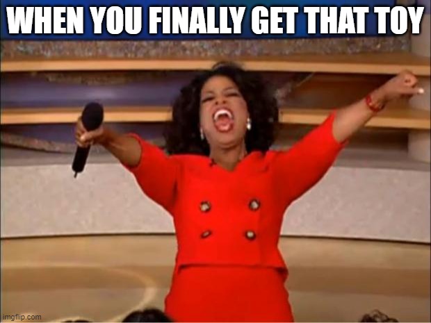 The toy | WHEN YOU FINALLY GET THAT TOY | image tagged in memes,oprah you get a | made w/ Imgflip meme maker