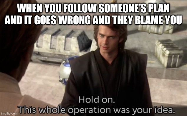 Hold on this whole operation was your idea | WHEN YOU FOLLOW SOMEONE’S PLAN AND IT GOES WRONG AND THEY BLAME YOU | image tagged in hold on this whole operation was your idea | made w/ Imgflip meme maker