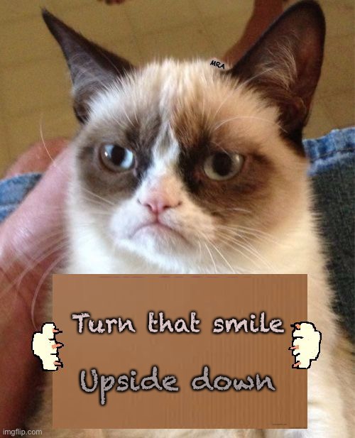 Grumpy Cat Cardboard Sign | MRA; Turn that smile; Upside down | image tagged in grumpy cat cardboard sign | made w/ Imgflip meme maker