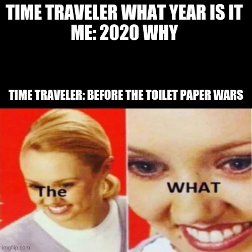 The What |  TIME TRAVELER WHAT YEAR IS IT 
ME: 2020 WHY; TIME TRAVELER: BEFORE THE TOILET PAPER WARS | image tagged in the what | made w/ Imgflip meme maker