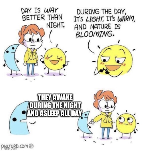 u know it tru | THEY AWAKE DURING THE NIGHT AND ASLEEP ALL DAY | image tagged in the day is better than night | made w/ Imgflip meme maker