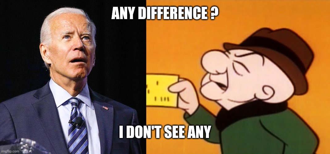 ANY DIFFERENCE ? I DON'T SEE ANY | image tagged in joe biden,magoo | made w/ Imgflip meme maker