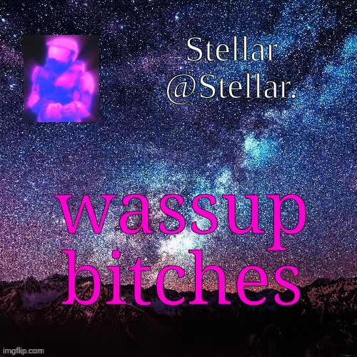 Stellar | wassup bitches | image tagged in stellar | made w/ Imgflip meme maker