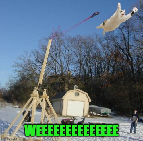 Behold the Cat A Pult!!! | WEEEEEEEEEEEEEE | image tagged in cats,memes,cat a pult,animals | made w/ Imgflip meme maker