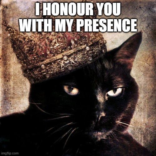 royal cat | I HONOUR YOU WITH MY PRESENCE | image tagged in royals,sassy | made w/ Imgflip meme maker