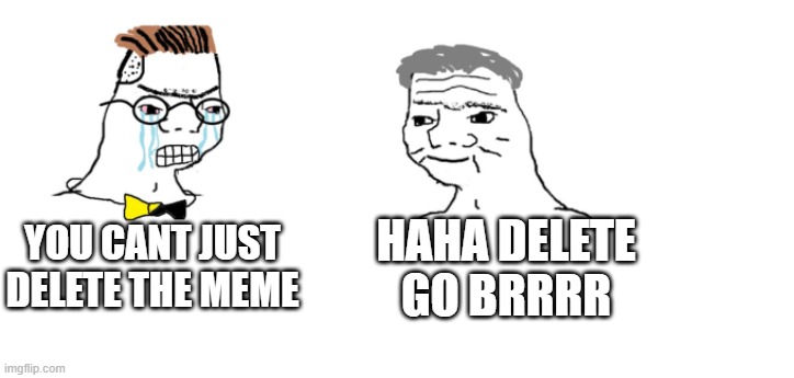 nooo haha go brrr | YOU CANT JUST DELETE THE MEME HAHA DELETE GO BRRRR | image tagged in nooo haha go brrr | made w/ Imgflip meme maker