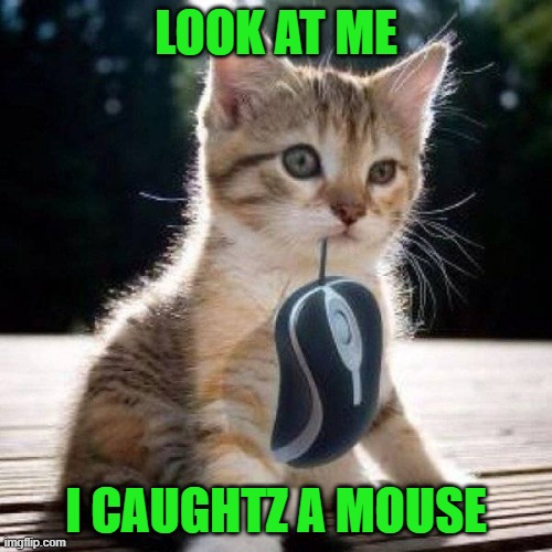 Yay for me!!! |  LOOK AT ME; I CAUGHTZ A MOUSE | image tagged in cats,caught a mouse,animals,memes | made w/ Imgflip meme maker