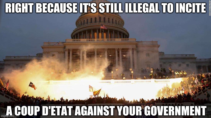 Capitol Uprising | RIGHT BECAUSE IT'S STILL ILLEGAL TO INCITE A COUP D'ETAT AGAINST YOUR GOVERNMENT | image tagged in capitol uprising | made w/ Imgflip meme maker