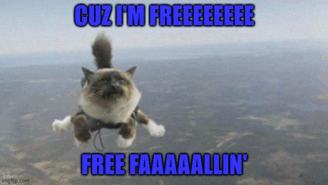 Time for an ear worm... | CUZ I'M FREEEEEEEE; FREE FAAAAALLIN' | image tagged in cats,parachuting,free fallin',ear worm | made w/ Imgflip meme maker
