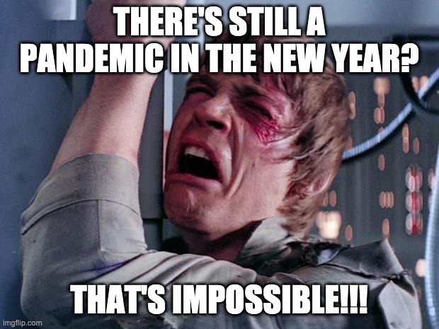 luke nooooo | THERE'S STILL A PANDEMIC IN THE NEW YEAR? THAT'S IMPOSSIBLE!!! | image tagged in luke nooooo | made w/ Imgflip meme maker
