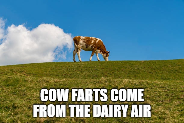 Cow Farts | COW FARTS COME FROM THE DAIRY AIR | image tagged in cow,farts,pun,funny | made w/ Imgflip meme maker