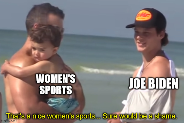 Changing women's sports to "women's" sports. | WOMEN'S SPORTS; JOE BIDEN; That's a nice women's sports... Sure would be a shame. | image tagged in sure would be a shame | made w/ Imgflip meme maker