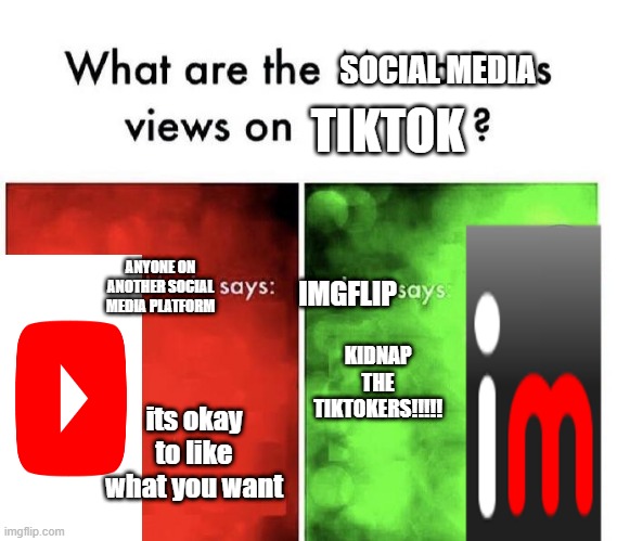 the comments: i like the one on the right | SOCIAL MEDIA; TIKTOK; KIDNAP THE TIKTOKERS!!!!! ANYONE ON ANOTHER SOCIAL MEDIA PLATFORM; IMGFLIP; its okay to like what you want | image tagged in mario bros views | made w/ Imgflip meme maker
