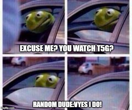 Kermit ask's dude | EXCUSE ME? YOU WATCH T5G? RANDOM DUDE:VYES I DO! | image tagged in kermit rolls up window | made w/ Imgflip meme maker