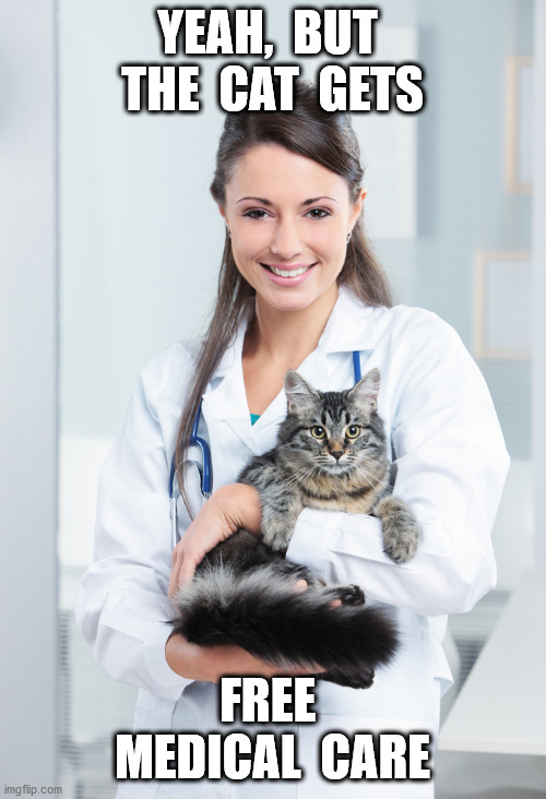 Successful Cat Handler | YEAH,  BUT  THE  CAT  GETS FREE  MEDICAL  CARE | image tagged in successful cat handler | made w/ Imgflip meme maker