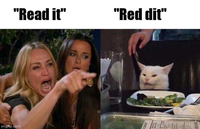Woman Yelling At Cat Meme | "Read it" "Red dit" | image tagged in memes,woman yelling at cat | made w/ Imgflip meme maker