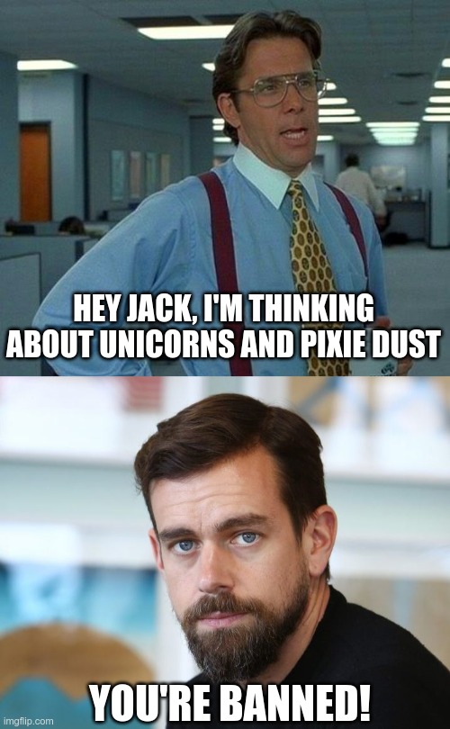 No Thinking! | HEY JACK, I'M THINKING ABOUT UNICORNS AND PIXIE DUST; YOU'RE BANNED! | image tagged in memes,that would be great,jack dorsey twitter ceo,censorship | made w/ Imgflip meme maker