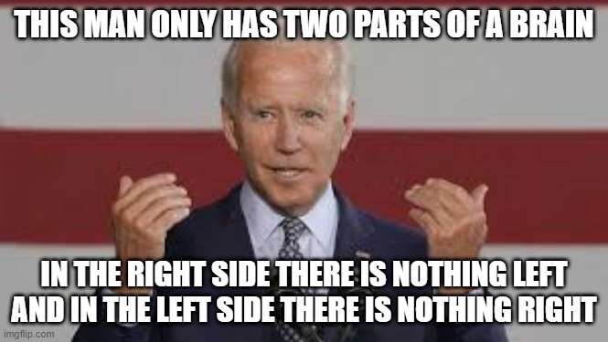 biden | THIS MAN ONLY HAS TWO PARTS OF A BRAIN; IN THE RIGHT SIDE THERE IS NOTHING LEFT AND IN THE LEFT SIDE THERE IS NOTHING RIGHT | image tagged in biden,brain | made w/ Imgflip meme maker