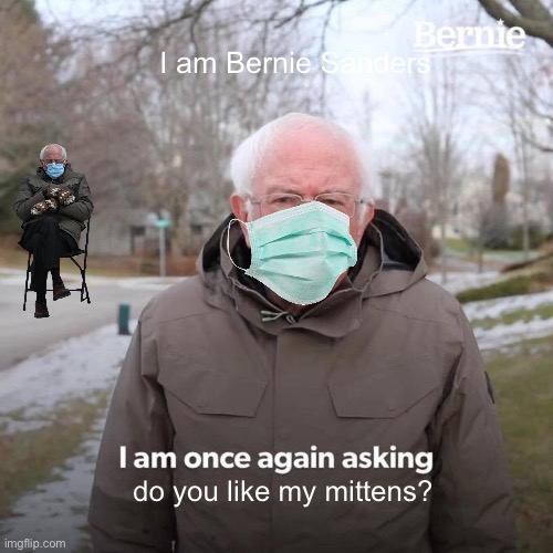 Bernie I Am Once Again Asking For Your Support Meme | I am Bernie Sanders; do you like my mittens? | image tagged in memes,bernie i am once again asking for your support | made w/ Imgflip meme maker