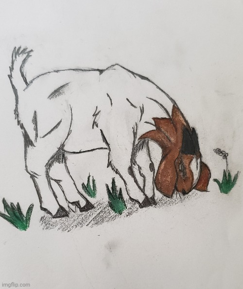 Idfk, its a goat | made w/ Imgflip meme maker