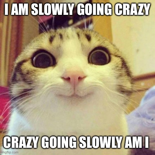 Smiling Cat Meme | I AM SLOWLY GOING CRAZY; CRAZY GOING SLOWLY AM I | image tagged in memes,smiling cat | made w/ Imgflip meme maker